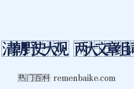 清朝野史大观·两大文章组词是什么意思的图片